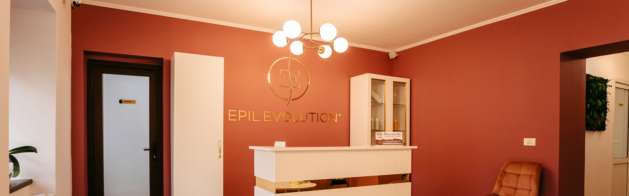 Contact Epilevolution